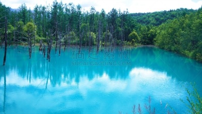 风景,蓝色,日本,池塘,天空,水平画幅,无人,夏天,观测点,户外