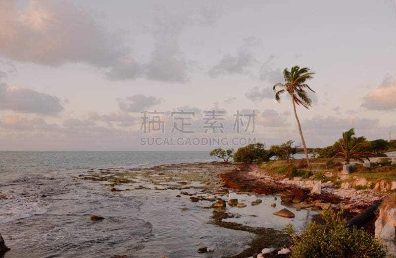 礁石,海滩,bahia honda key,自然,美国,水平画幅,无人,大西洋,早晨,户外