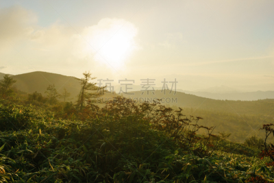 山,黎明,草津,草津山,群马县,竹子叶,气候与心情,天空,美,休闲活动