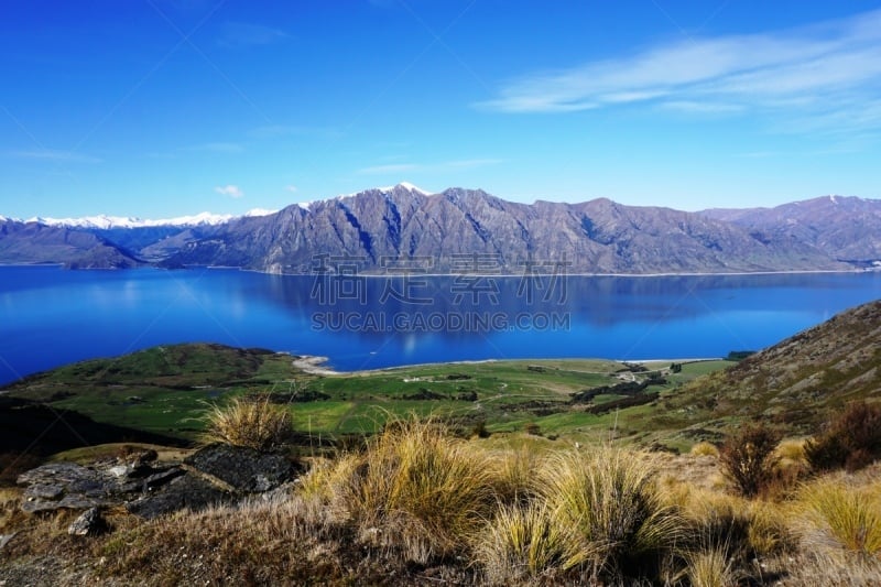 瓦纳卡,新西兰,咽喉,徒步旅行,雪山,草,植物,河流,户外,高处