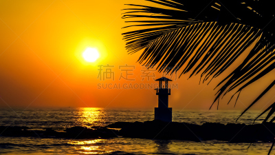 早晨,夏威夷大岛,曙暮光,古巴克里尼达,棕榈树,海滩,热带气候,黎明,安提瓜,波拉波拉