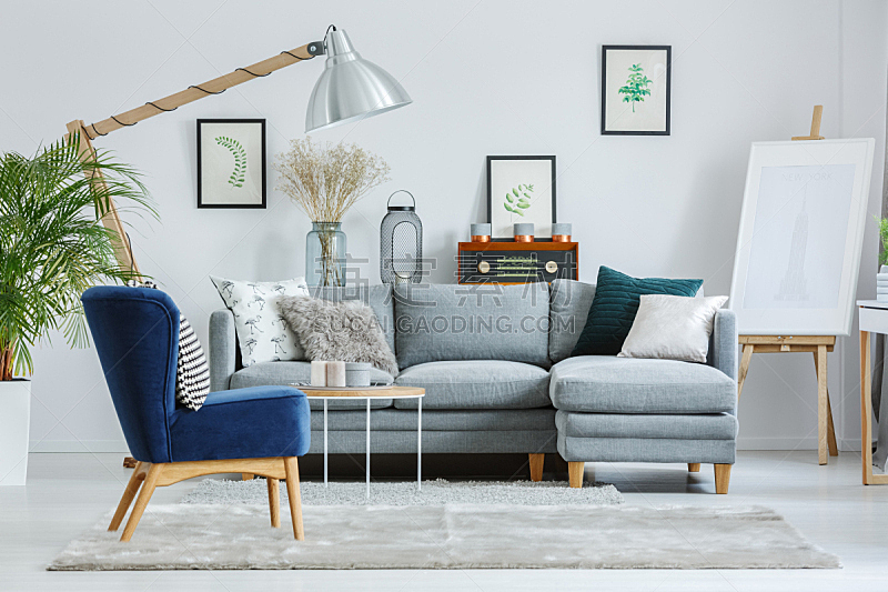 地毯,灰色,扶手椅,蓝色,灯,天鹅绒,家具,现代,沙发,白色