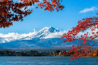 富士山,秋天,日本,彩色图片,水,水平画幅,樱花,樱桃,雪,无人