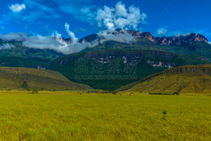 看风景,萨瓦纳,推铅球,宽的,水平画幅,无人,早晨,户外,草,拉格兰萨巴那