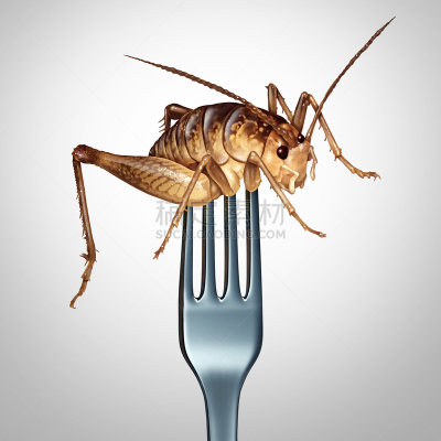 昆虫,概念和主题,饮食,绘画插图,膳食,方形画幅,蟋蟀,蛋白质,概念,加拿大