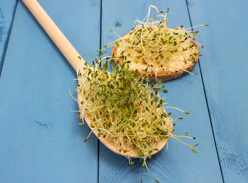 清新 厚木板 青绿色 紫花苜蓿芽 紫花苜蓿 卢塞恩 水平画幅 素食 无人 维生素图片素材下载 稿定素材