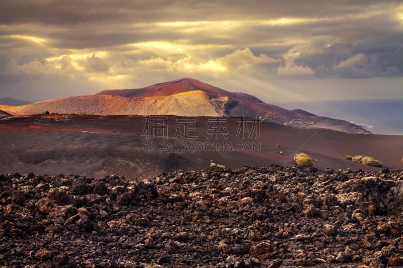 火山,在上面,timanfaya national park,兰萨罗特岛,水平画幅,无人,大西洋群岛,夏天,户外,草