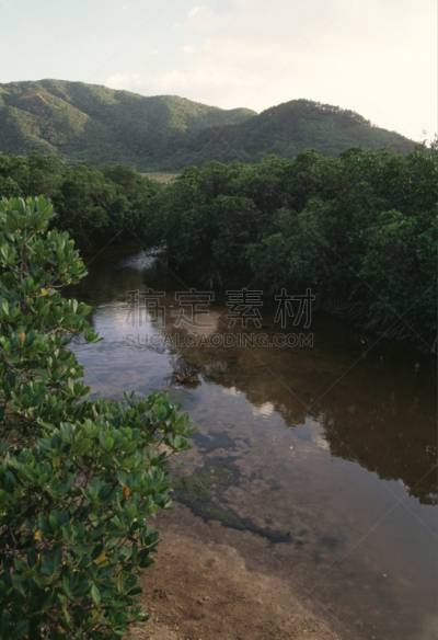 石垣岛,红树,自然,垂直画幅,天空,云,地形,无人,蓝色,日本