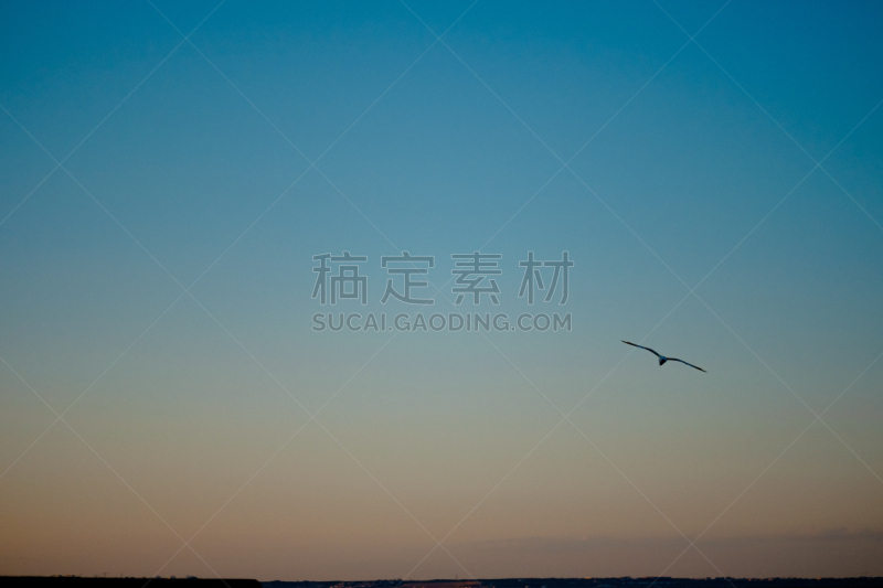 斯海弗宁恩,海牙,自然美,黄昏,水,天空,美,艺术,水平画幅,无人