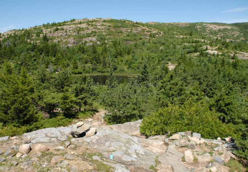 卡迪拉克山,地形,巴港,蒙特荒岛,水,水平画幅,无人,全景,缅因州