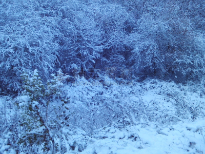 夜晚,十二月,2017年,扫雪车,寒冷,水平画幅,雪,无人,路,城市天际线