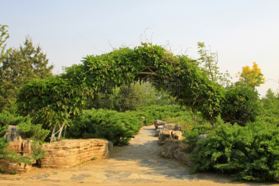 植物,特写,地形,门,建筑结构,传统,季节,图像,海峡,草类