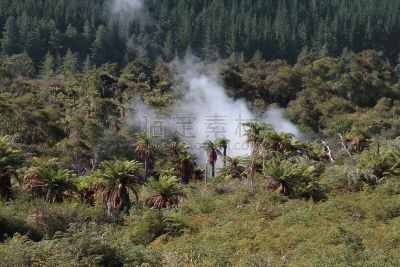 罗托鲁阿,新西兰,一只动物,部分,水,水平画幅,lake tarawera,无人,火山地形,户外