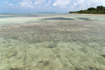 竹富岛,冲绳县,风景,通向海滩,美,留白,度假胜地,水平画幅,无人,平视角
