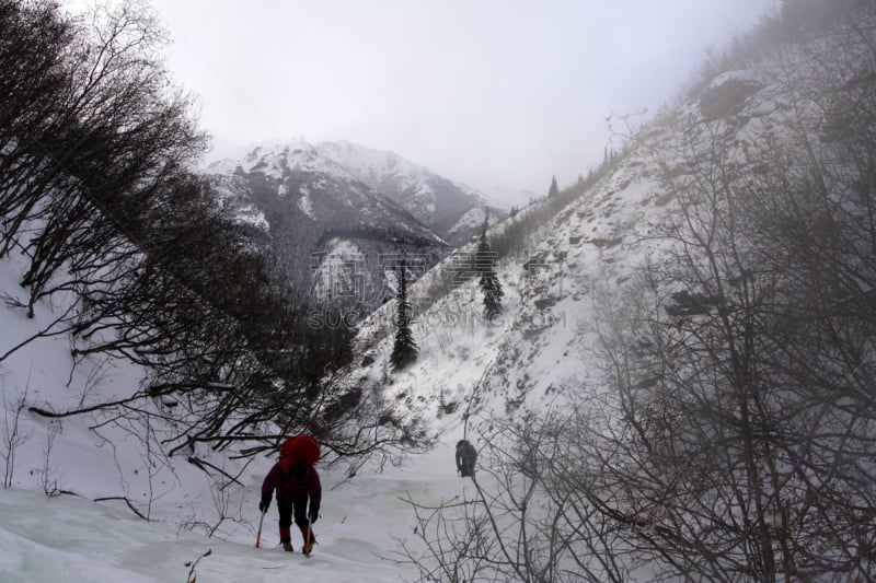 探险家,攀冰,水平画幅,山,2015年,阿拉斯加,户外,户外活动,山脉,摄影