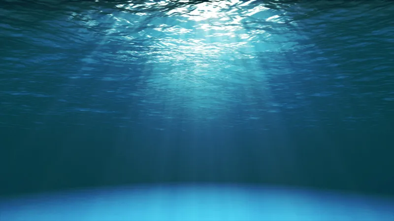 水中 水中图片 水中素材下载 稿定素材 水中 水中图片 水中素材下载 稿定素材