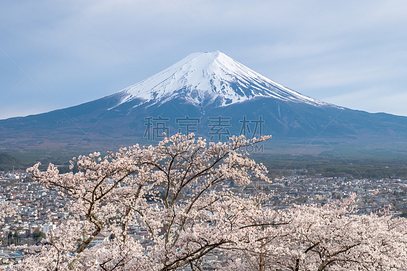春天 富士山 背景 天空 都市风景 日本 樱花 白色 山 前面图片素材下载 稿定素材