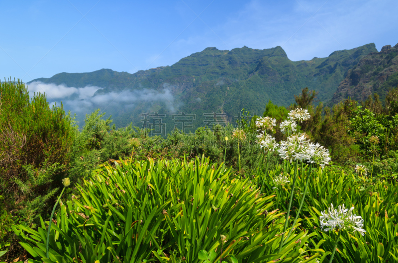 山,地形,马德拉群岛,鸡尾酒,绿色,天空,水平画幅,云,茅屋屋顶,无人