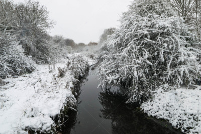 Winter landscape in a forest park with trees covered with snow.