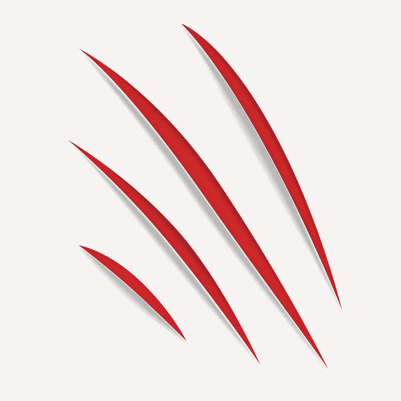 爪印 爪印图片 爪印素材下载 稿定素材