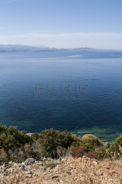 绿色,地形,科西嘉,科西嘉岛最北端,海岸线,尖峰,名声,西,野生植物,垂直画幅