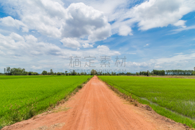 农场,稻,田地,越野赛跑,痕迹,自然,暴风雨,水平画幅,树篱,山