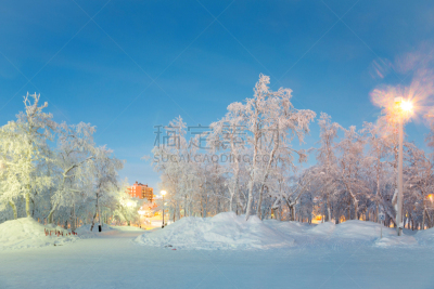 冬天,地形,园林,城市,基律纳,星迹,水平画幅,小木屋,夜晚,雪