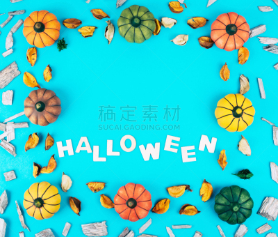 南瓜,华丽的,蓝色背景,留白,乡村风格,图像,布鲁克林庆典,农作物,短马鞭,弹出式商店