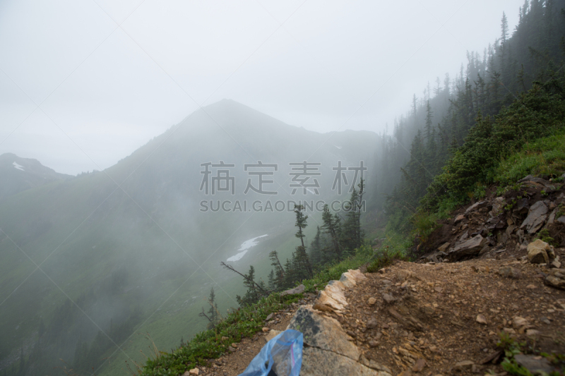 山口,五只动物,北喀斯开山脉,白色,小路,冰河峰荒野地,太平洋鸟冠小径,自然,水平画幅,地形