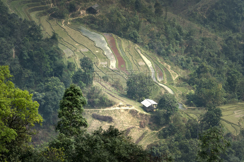 高处,越南,地形,梯田,山罗省,居住区,计程车车站,有色人种,飘然,山脉