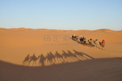 骆驼,撒哈拉沙漠,旅途,水平画幅,沙子,莫鲁加,家畜,northern sahara,非洲,驼队
