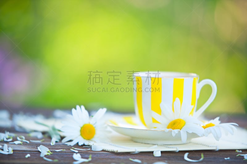 杯,绿茶,桌子,芳香的,水平画幅,无人,洋甘菊茶,热饮,甘菊花