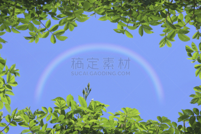 天空,边框,绿色,蓝色,彩虹,叶子,清新,自然,水平画幅,日本