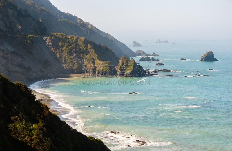 德劳特卡斯特州立公园,国际生物圈保护区,洪堡企鹅,原生林,红杉,北加利福尼亚州,水平画幅,无人,泥土,户外