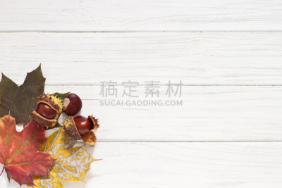 栗子,叶子,秋天,留白,边框,水平画幅,无人,九月,古典式,户外