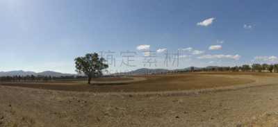 新南威尔士,农场,澳大利亚,全景,干的,贫瘠的,田地,灰尘,树