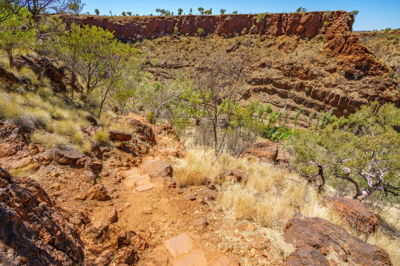 西澳大利亚,dales gorge,徒步旅行,三只动物,橙色,壁纸,草,巨石,小路,红岩石