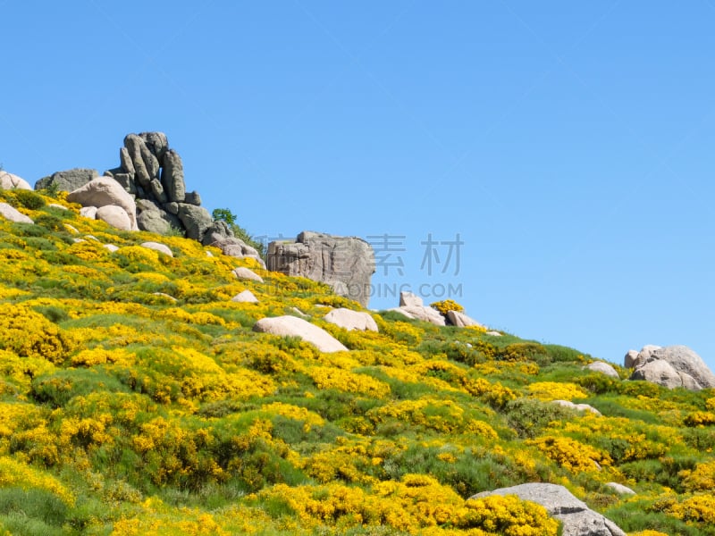 塞文山区,扫帚,岩石,山,法国,奥赛罗,罗泽尔,自然,天空,停泊的