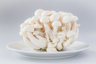 姬菇,山毛榉树,餐具,饮食,水平画幅,素食,无人,蘑菇,白色背景,背景分离