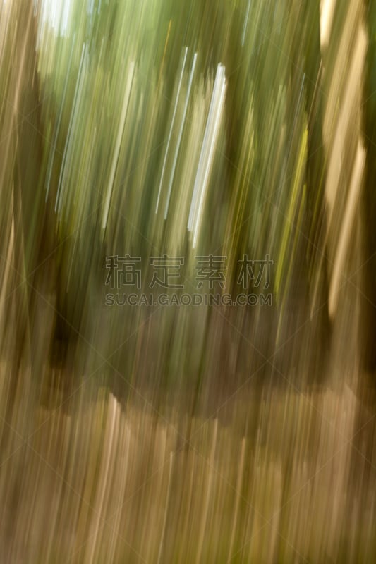 条纹,垂直画幅,平视角,活力,纹理效果,模板,想法,背景,能源,纹理