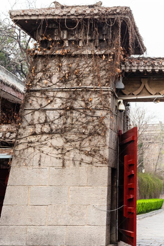 龙门石窟,大门,河堤,彝族,河流,洛阳,河南省,洞穴,垂直画幅,纪念碑