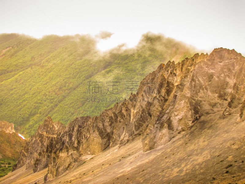 尼泊尔,徒步旅行,安娜普娜环线,天空,干草,雪,干草卷,夏天,干的,草