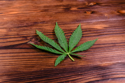 木制,叶子,桌子,癌症药品,致癌物,青光眼,塔法里教教徒,香烟,背景,休闲活动
