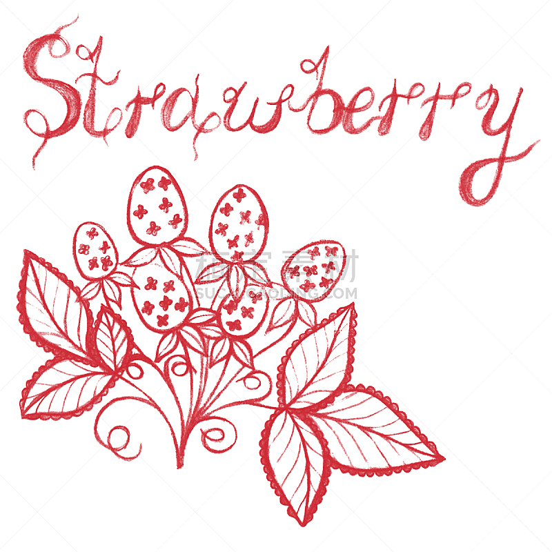 绘画插图,草莓,铅笔,红色,墨水,明信片,艺术,纺织品,素食,无人