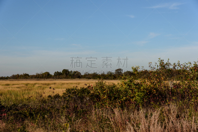 秋天,牙买加,海湾,水,天空,公园,褐色,水平画幅,云,无人
