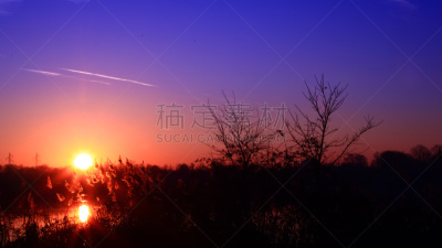 黎明,云景,尼斯,活力,热,法国,黄昏,草,植物,户外