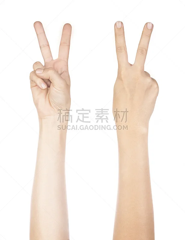数字2 手 分离着色 两根手指 垂直画幅 正面视角 手势语 白人 特写 两个物体图片素材下载 稿定素材