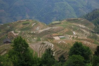 龙胜,龙,山,巷,壮族,瑶族,桂林,水平画幅,无人