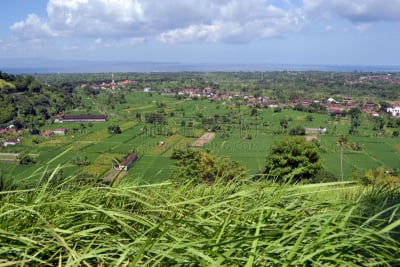 巴厘岛,风景,非凡的,职权,克隆贡地区,稻田,天空,艺术,地名,水平画幅