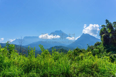 沙巴州,婆罗洲岛,京那峇鲁山,山,中午,热带气候,环境,枝繁叶茂,植物,背景